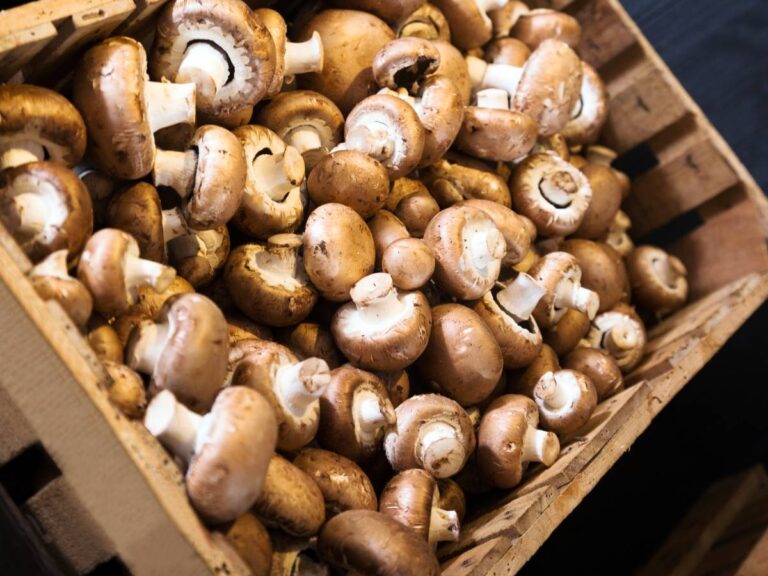 Jak długo można przechowywać pieczarki w lodówce