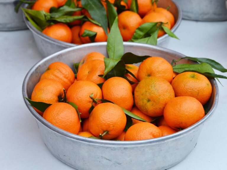 Jak przechowywać mandarynki