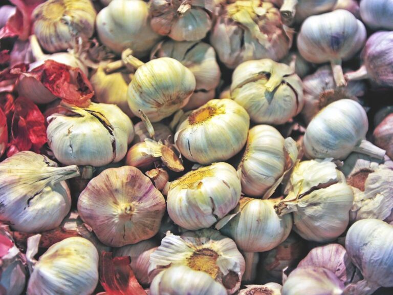 Jak przechowywać czosnek